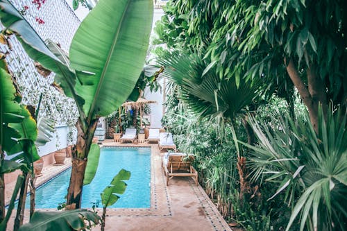 Après-soleil naturel : apaiser et hydrater sa peau naturellement - Maison Soleil