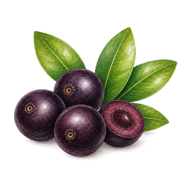 Açaï bio