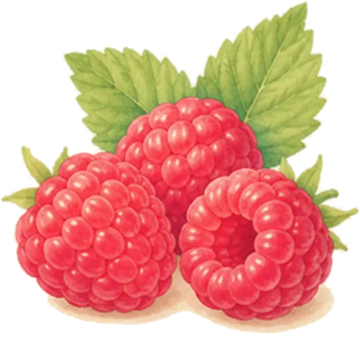 Vinaigre de framboise bio