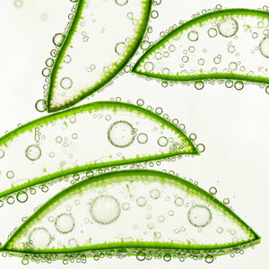 Lotion micellaire BIO - Maison Soleil